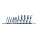 10PC 1/4" & 3/8" DRIVE SAE HEX BIT SOCKET RAIL