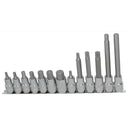 13PC 1/2" DRIVE METRIC HEX BIT & TRIPLE SQUARE SOCKET RAIL SET